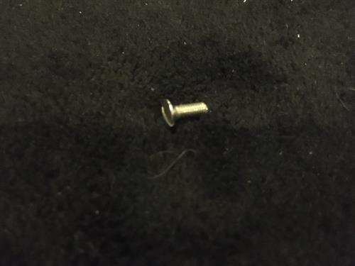 10667 Enamel plate stainless screw 6A